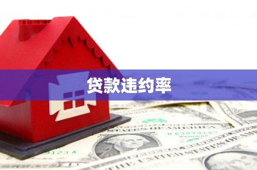 囊谦贷款违约率