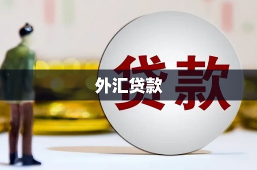 秦皇岛外汇贷款