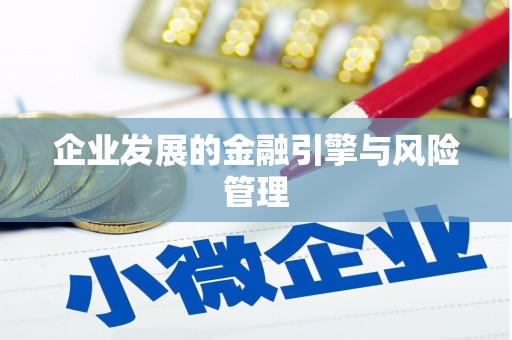 威宁企业发展的金融引擎与风险管理