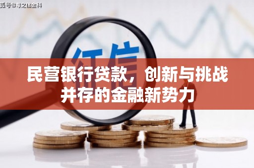 南屯民营银行贷款，创新与挑战并存的金融新势力