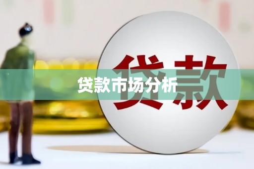 洪雅贷款市场分析