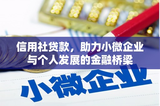 苓雅信用社贷款，助力小微企业与个人发展的金融桥梁