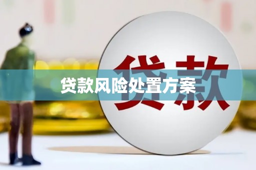 隆子贷款风险处置方案