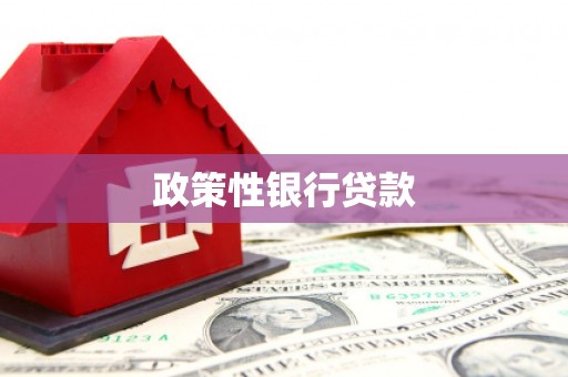 圣方济各堂区政策性银行贷款