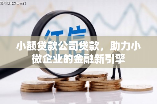 河津小额贷款公司贷款，助力小微企业的金融新引擎