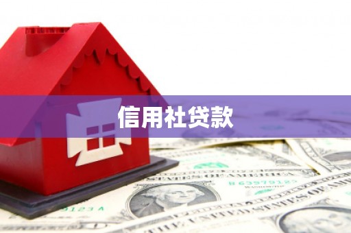 宝鸡信用社贷款