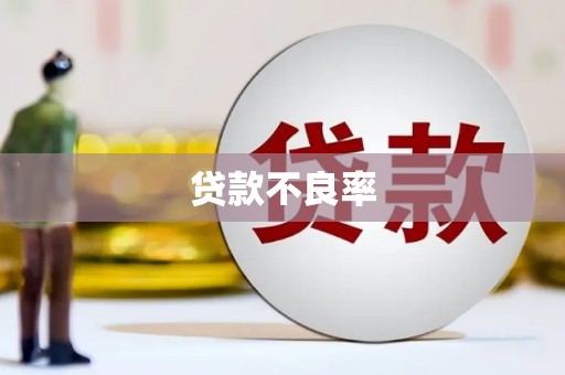 罗东贷款不良率