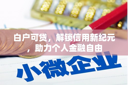 和田白户可贷，解锁信用新纪元，助力个人金融自由