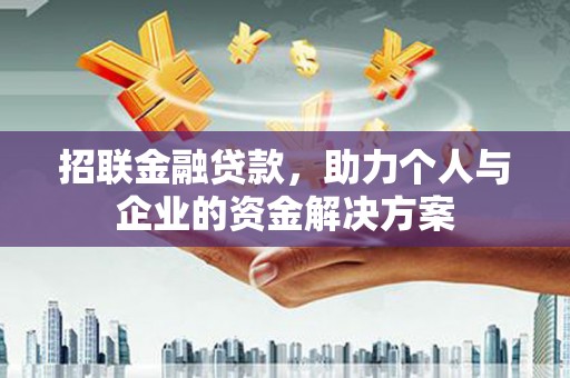 雷州招联金融贷款，助力个人与企业的资金解决方案