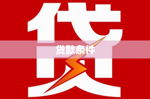 公安贷款条件