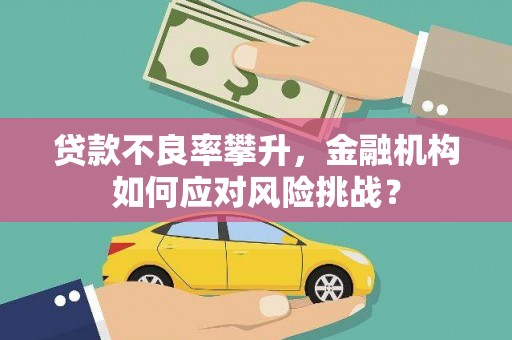 民雄贷款不良率攀升，金融机构如何应对风险挑战？