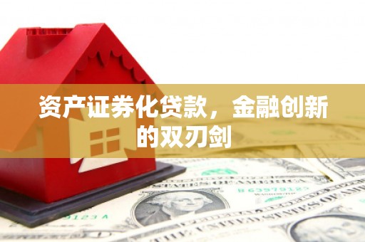 陆良资产证券化贷款，金融创新的双刃剑