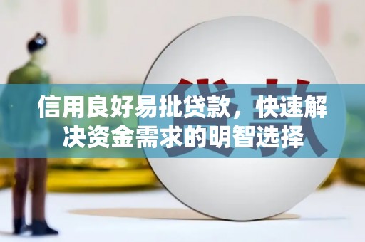 阜康信用良好易批贷款，快速解决资金需求的明智选择