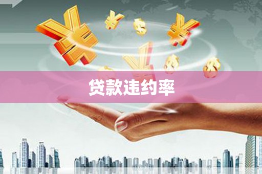 惠济贷款违约率