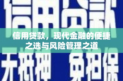 岳塘信用贷款，现代金融的便捷之选与风险管理之道