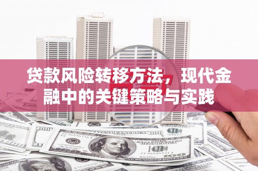 临西贷款风险转移方法，现代金融中的关键策略与实践