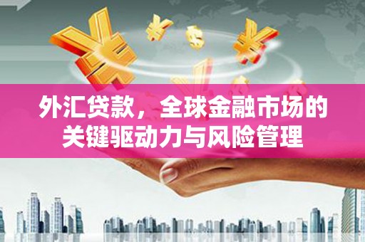 泾县外汇贷款，全球金融市场的关键驱动力与风险管理