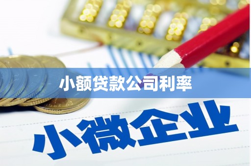 江华小额贷款公司利率