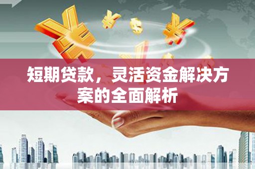 鄂伦春短期贷款，灵活资金解决方案的全面解析