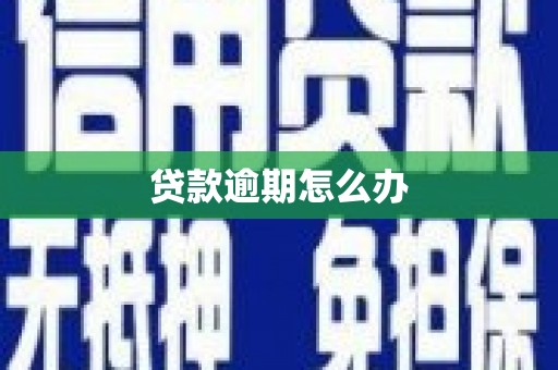 万峦贷款逾期怎么办