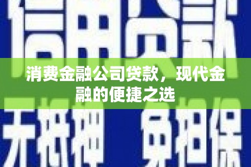 新巴尔虎左旗消费金融公司贷款，现代金融的便捷之选
