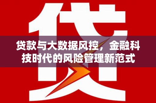 马尔康贷款与大数据风控，金融科技时代的风险管理新范式