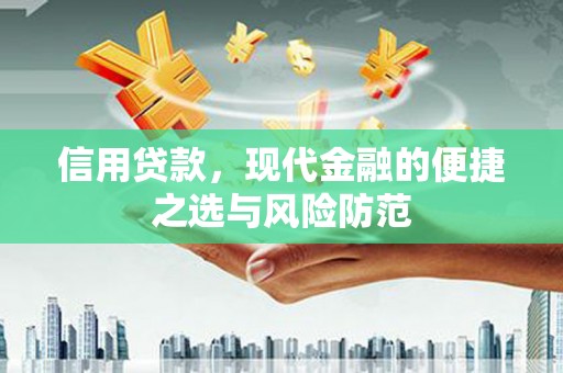 海陵信用贷款，现代金融的便捷之选与风险防范