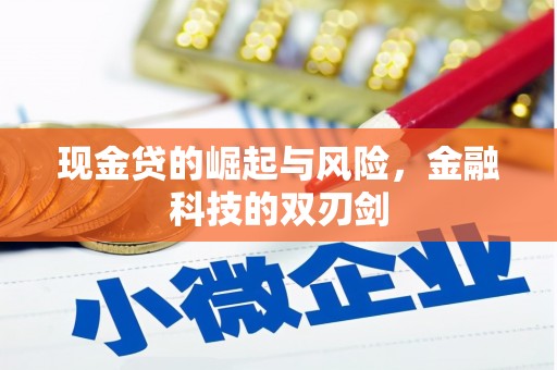 新巴尔虎左旗现金贷的崛起与风险，金融科技的双刃剑