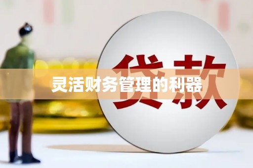 江孜灵活财务管理的利器