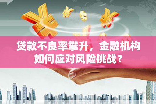 伊川贷款不良率攀升，金融机构如何应对风险挑战？
