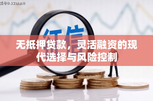 沧县无抵押贷款，灵活融资的现代选择与风险控制