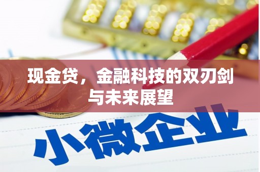 武邑现金贷，金融科技的双刃剑与未来展望