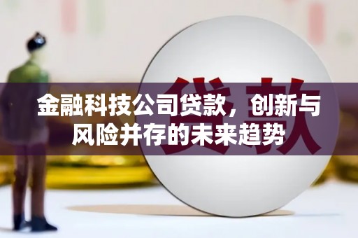 陆丰金融科技公司贷款，创新与风险并存的未来趋势