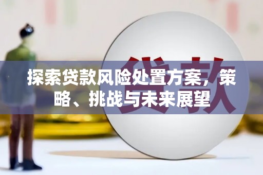 丰城探索贷款风险处置方案，策略、挑战与未来展望