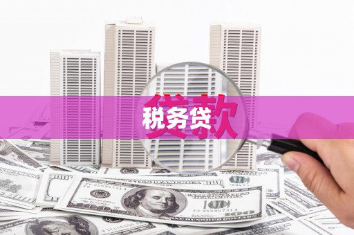 揭东税务贷