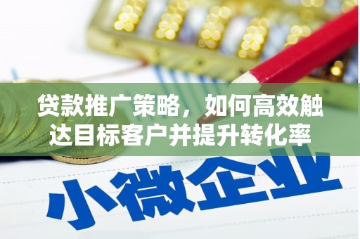 泸水贷款推广策略，如何高效触达目标客户并提升转化率