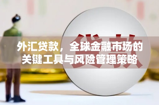 汾阳外汇贷款，全球金融市场的关键工具与风险管理策略