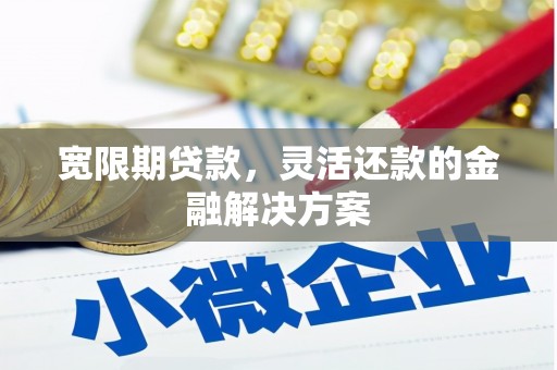 嵊州宽限期贷款，灵活还款的金融解决方案