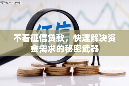 茂林不看征信贷款，快速解决资金需求的秘密武器