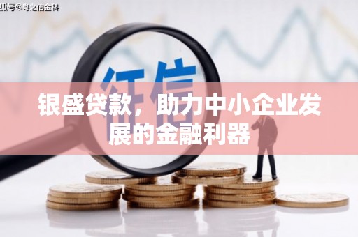 全州银盛贷款，助力中小企业发展的金融利器