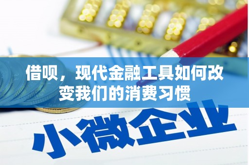 西乌旗借呗，现代金融工具如何改变我们的消费习惯