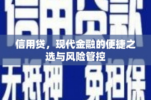 米东信用贷，现代金融的便捷之选与风险管控