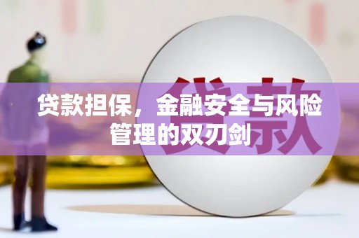 德清贷款担保，金融安全与风险管理的双刃剑