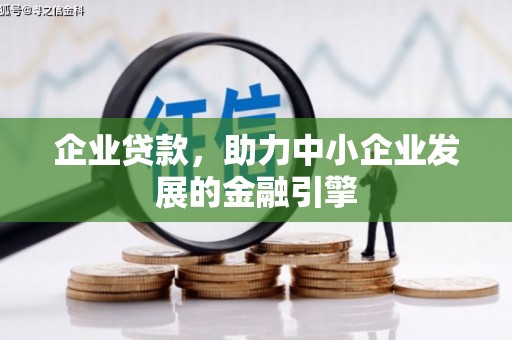 白沙企业贷款，助力中小企业发展的金融引擎