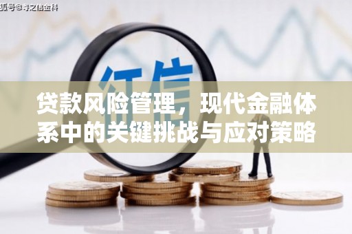 福建贷款风险管理，现代金融体系中的关键挑战与应对策略