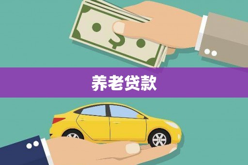 二水养老贷款
