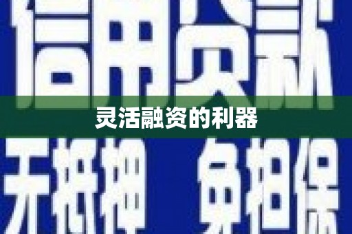 平顶山灵活融资的利器