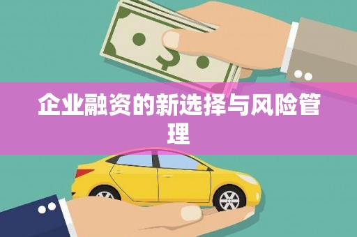 阿尔山企业融资的新选择与风险管理