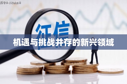 新洲机遇与挑战并存的新兴领域