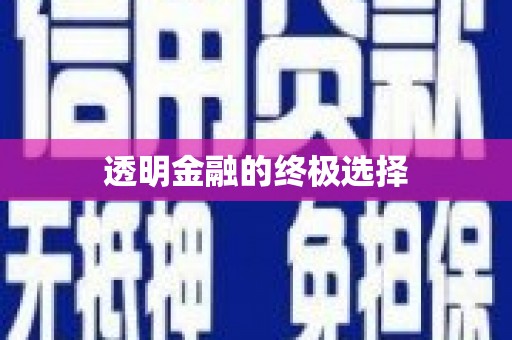 樊城透明金融的终极选择